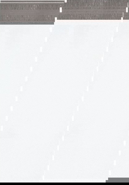 Courier Mailing Envelope: 19